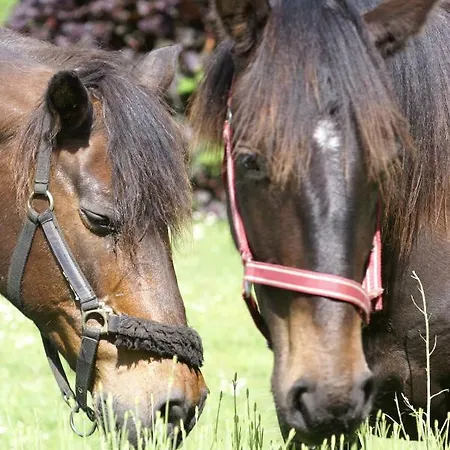 Bergerie De Bazas Nyaraló Lignan-de-Bazas