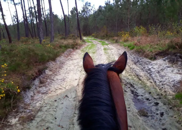 בית נופש Bergerie De Bazas