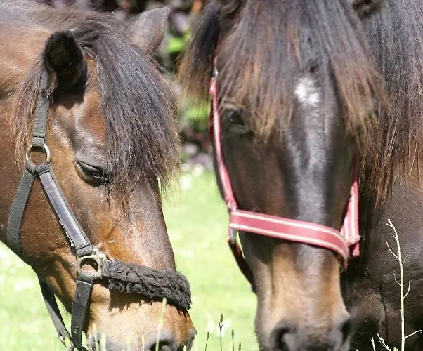 Bergerie De Bazas בית נופש Lignan-de-Bazas
